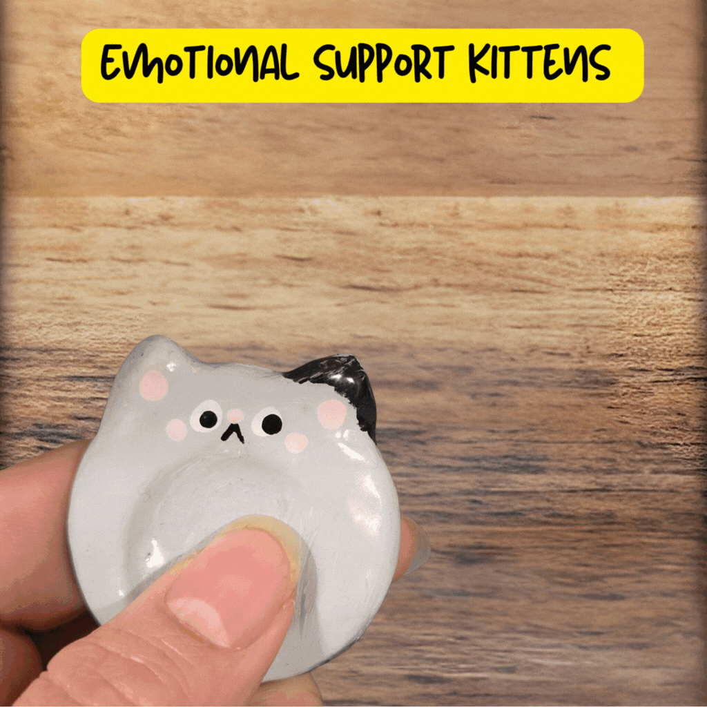 Emotional Support Kittens -Mystery Bag Surprise
