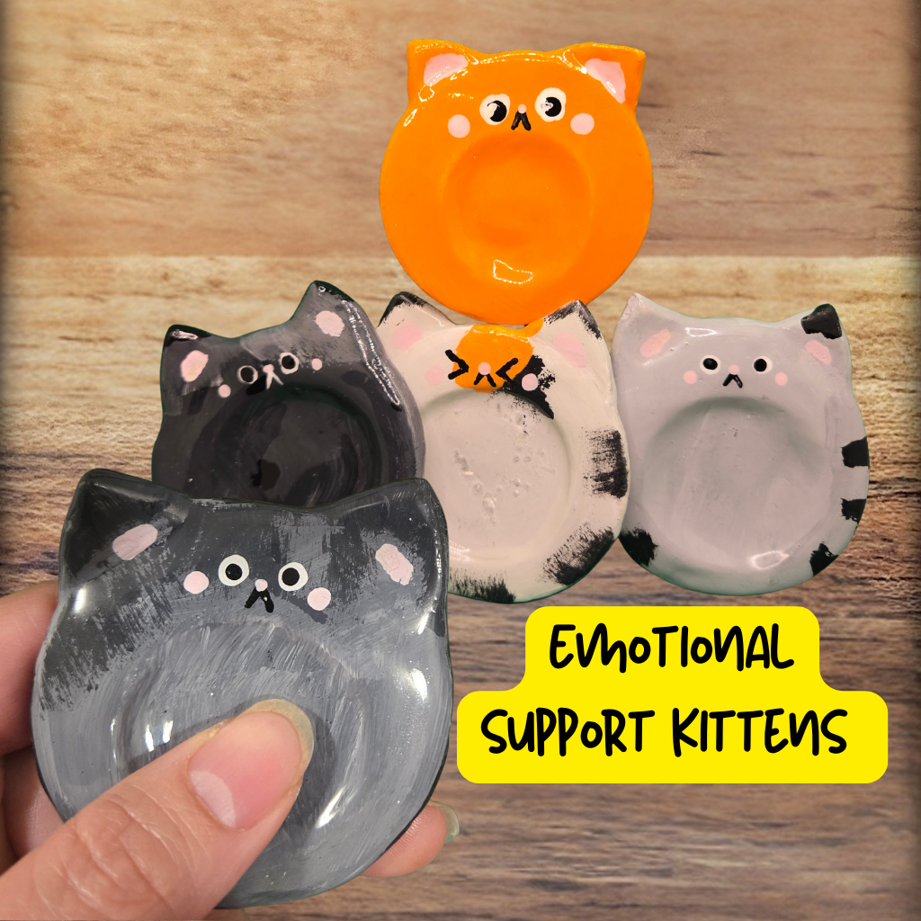 Emotional Support Kittens -Mystery Bag Surprise